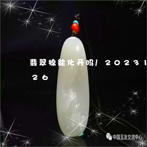 翡翠棉能化开吗/2023100503826