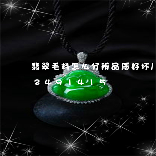 翡翠毛料怎么分辨品质好坏/2023072491415