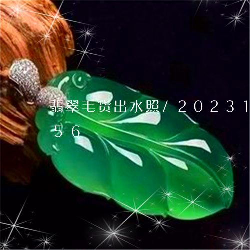 翡翠毛货出水照/2023100535056