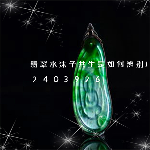 翡翠水沫子共生是如何辨别/2023072403926