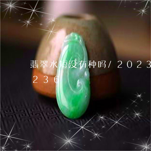 翡翠水短没有种吗/2023041132236