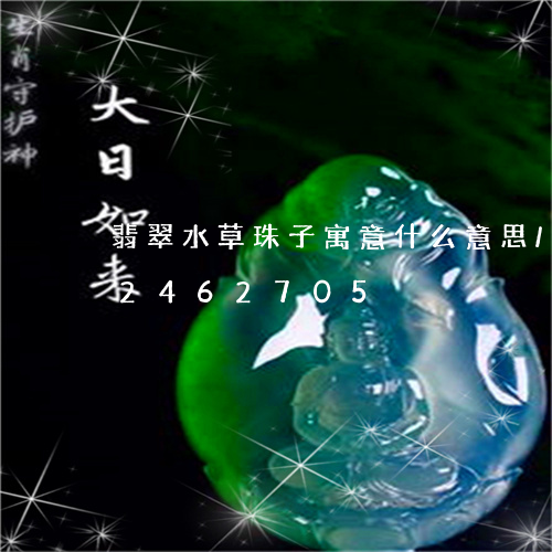 翡翠水草珠子寓意什么意思/2023072462705