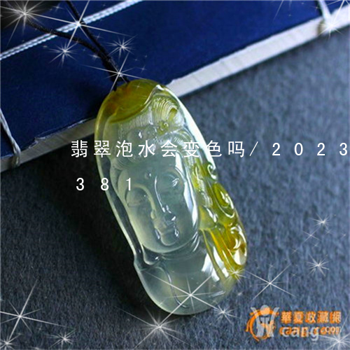 翡翠泡水会变色吗/2023041244381