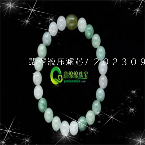 翡翠液压滤芯/2023092327391