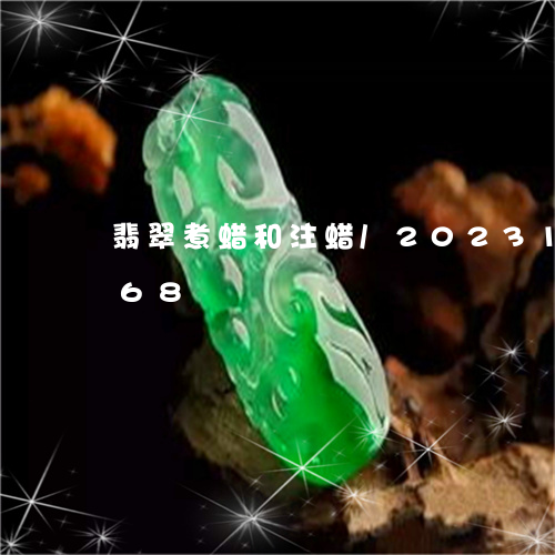 翡翠煮蜡和注蜡/2023100504168