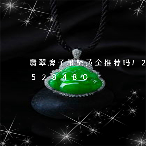 翡翠牌子吊坠黄金推荐吗/2023112528480