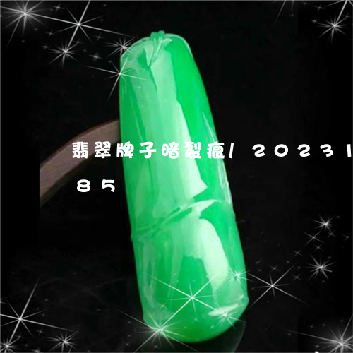 翡翠牌子暗裂痕/2023100570385