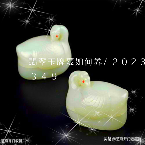 翡翠玉牌要如何养/2023041124349