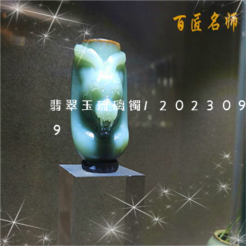 翡翠玉琉璃镯/2023092217149