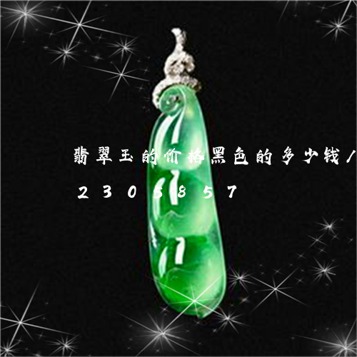 翡翠玉的价格黑色的多少钱/2023072305857