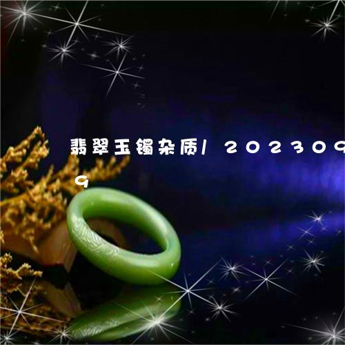 翡翠玉镯杂质/2023092215839