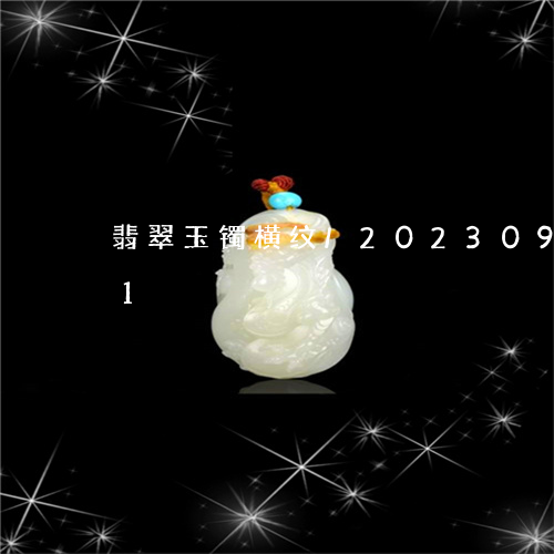 翡翠玉镯横纹/2023092240471