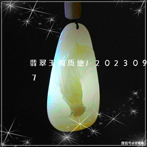 翡翠玉镯质地/2023092206137