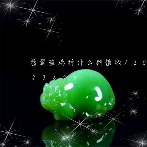 翡翠玻璃种什么料值钱/2023112322695