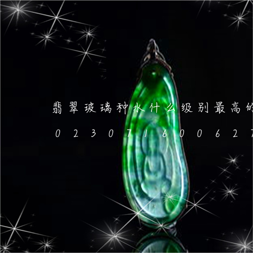 翡翠玻璃种水什么级别最高的外逃贪官/2023071600627