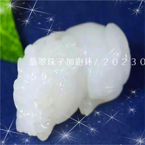 翡翠珠子加跑环/2023073127159