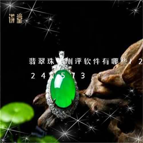 翡翠珠子测评软件有哪些/2023110241573