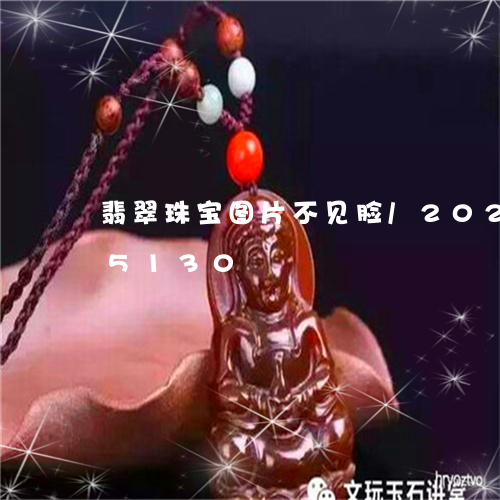 翡翠珠宝图片不见脸/2023112395130