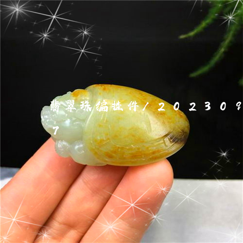 翡翠珠编挂件/2023092223717