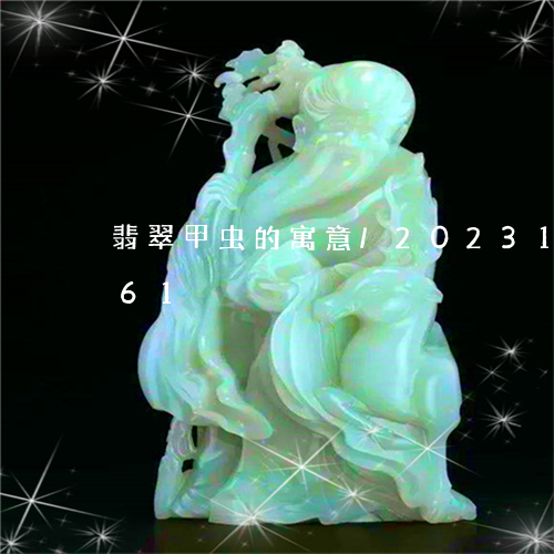 翡翠甲虫的寓意/2023100578361