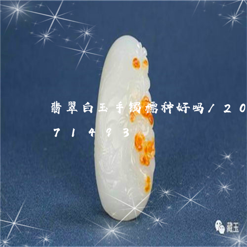 翡翠白玉手镯糯种好吗/2023112471493