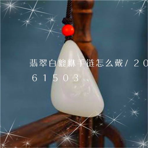 翡翠白貔貅手链怎么戴/2023112461503