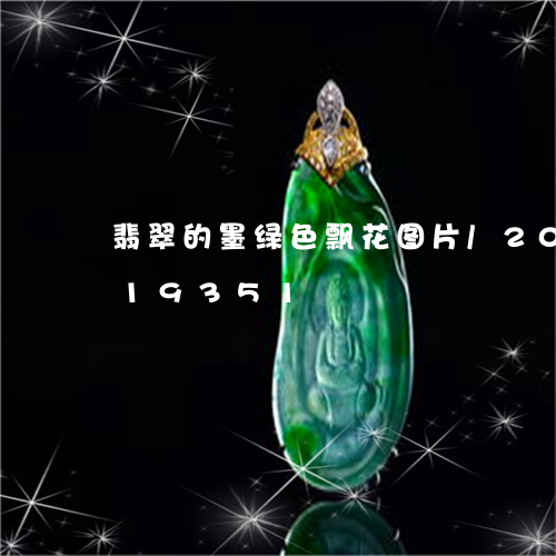 翡翠的墨绿色飘花图片/2023112419351