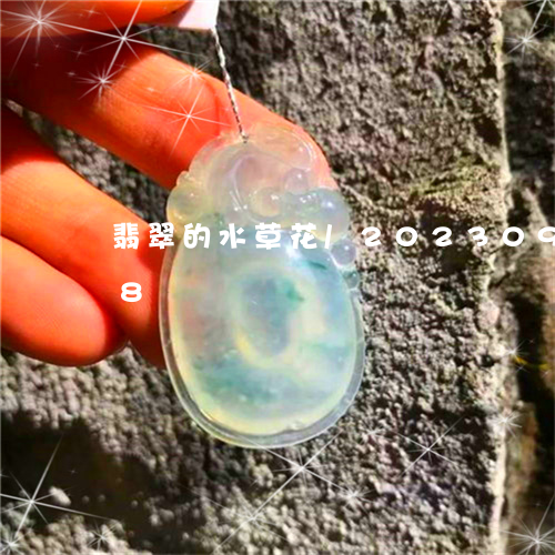 翡翠的水草花/2023092386148