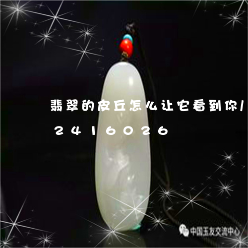 翡翠的皮丘怎么让它看到你/2023072416026