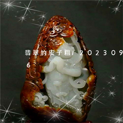 翡翠的皮子粗/2023092302596