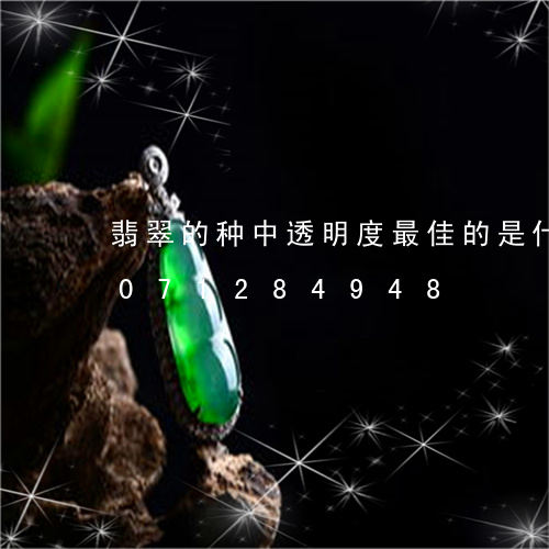 翡翠的种中透明度最佳的是什么/2023071284948