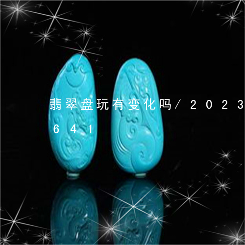 翡翠盘玩有变化吗/2023031646641