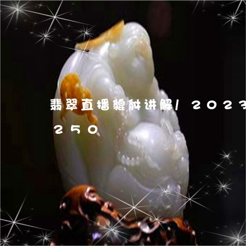 翡翠直播貔貅讲解/2023102417250