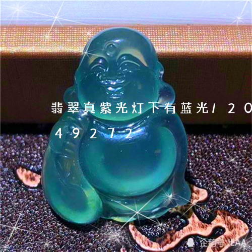 翡翠真紫光灯下有蓝光/2023112449272