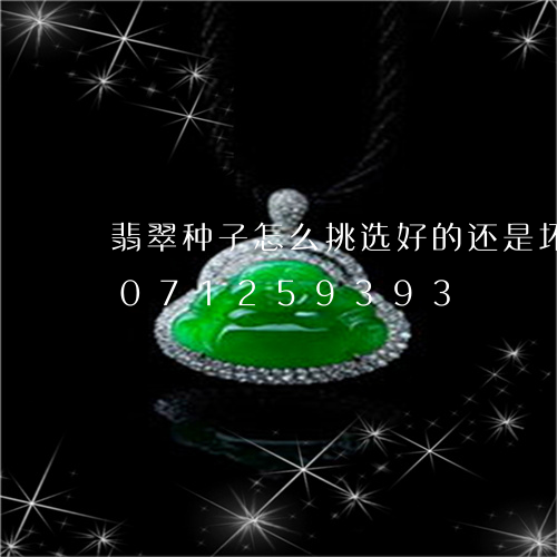 翡翠种子怎么挑选好的还是坏的/2023071259393