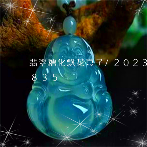 翡翠糯化飘花豆子/2023102463835