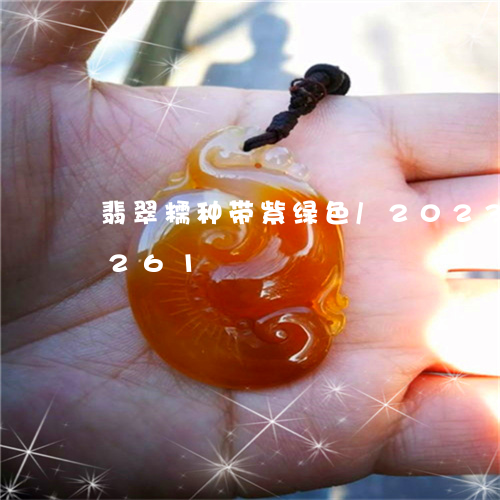 翡翠糯种带紫绿色/2023120316261