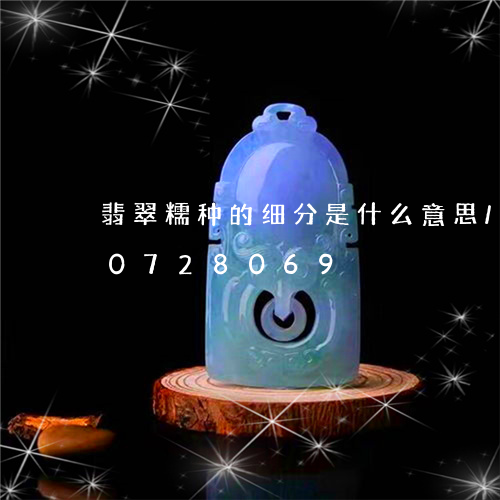 翡翠糯种的细分是什么意思/2023110728069