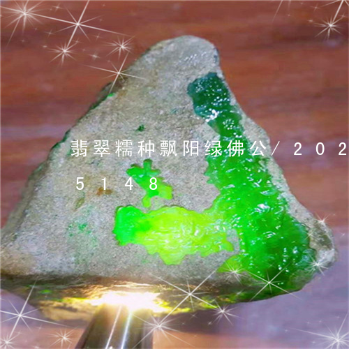 翡翠糯种飘阳绿佛公/2023120605148