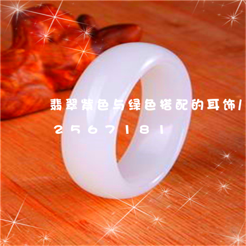 翡翠紫色与绿色搭配的耳饰/2023112567181