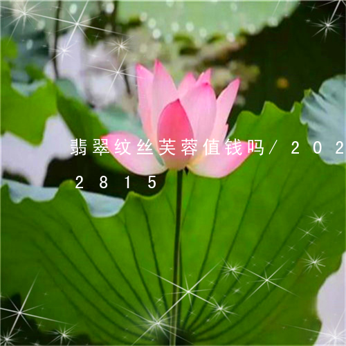 翡翠纹丝芙蓉值钱吗/2023102442815