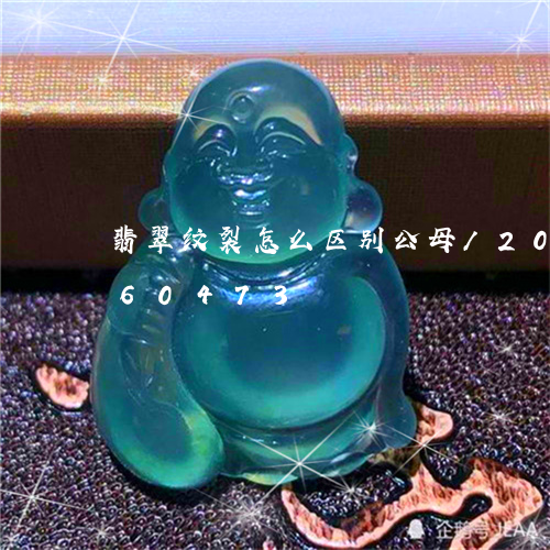 翡翠纹裂怎么区别公母/2023112360473