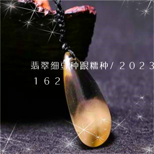 翡翠细豆种跟糯种/2023120304162