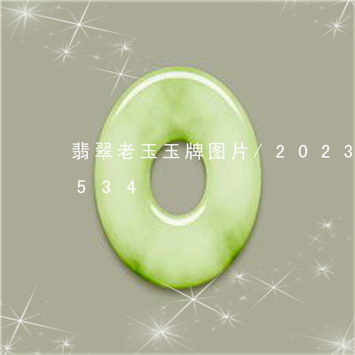 翡翠老玉玉牌图片/2023032964534