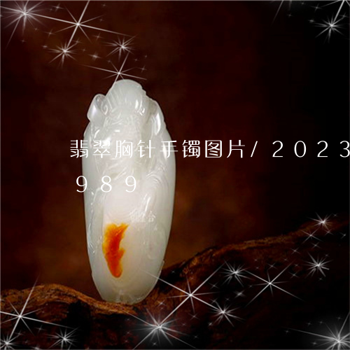 翡翠胸针手镯图片/2023032967989