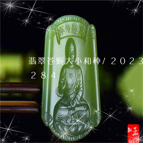 翡翠苍蝇大小和种/2023032985284