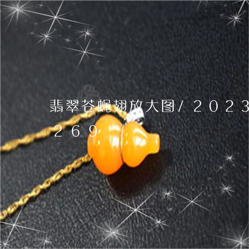 翡翠苍蝇翅放大图/2023032910269