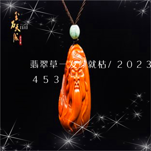 翡翠草一发芽就枯/2023032940453