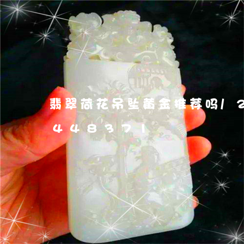 翡翠荷花吊坠黄金推荐吗/2023112448371