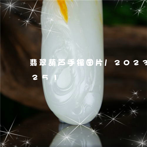 翡翠葫芦手镯图片/2023032956251